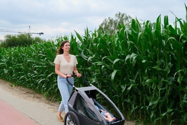 moeder die wandelt met een fietskar